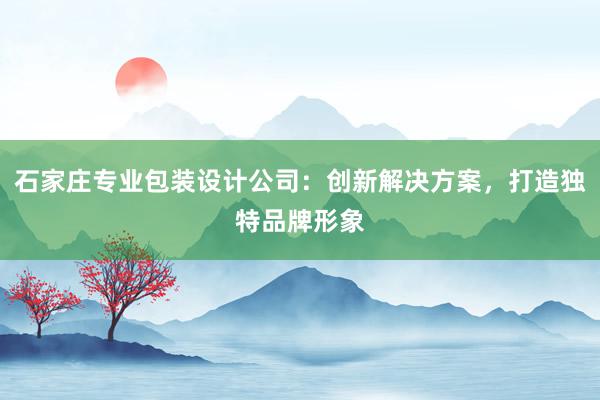 石家庄专业包装设计公司：创新解决方案，打造独特品牌形象